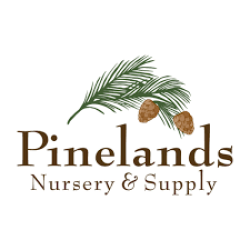 Pinelands Nursery