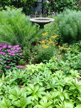 Bird Bath with greenery