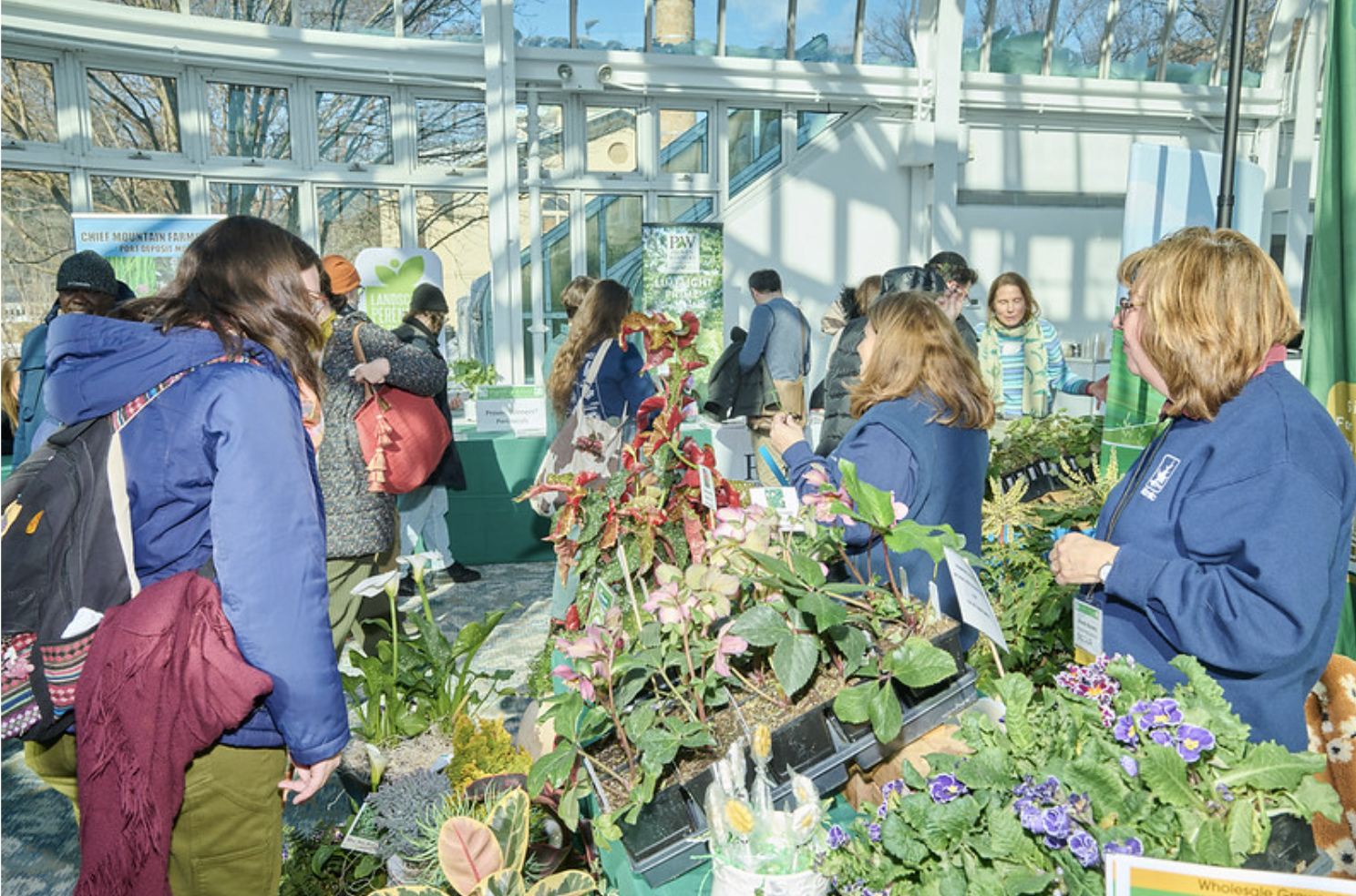 Visitors interacting with staff at a plant exhibition, surrounded by various potted plants and flowers. The venue is a bright, sunny greenhouse with people engaged in conversation and browsing displays.