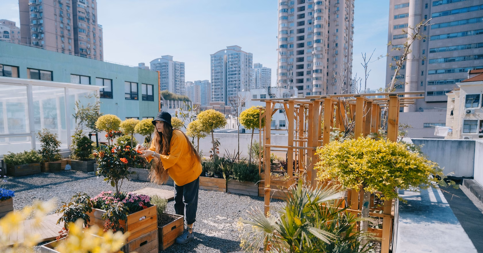 A woman in a bright orange sweater tends to plants in a rooftop garden surrounded by tall buildings. The garden features wooden planters and various plants, including colorful flowers and shrubs, with a clear blue sky overhead.