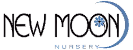 Logo for New Moon featuring the text "NEW MOON" in black letters. A blue flower design is present near the end of the word "MOON," and a crescent moon design is incorporated, emphasizing a celestial theme.