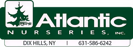 Logo of Atlantic Nurseries, Inc., featuring a green background with a white image of a tree above the text. The company name 'Atlantic Nurseries, Inc.' is displayed in bold white letters, with 'Dix Hills, NY' and a phone number below.