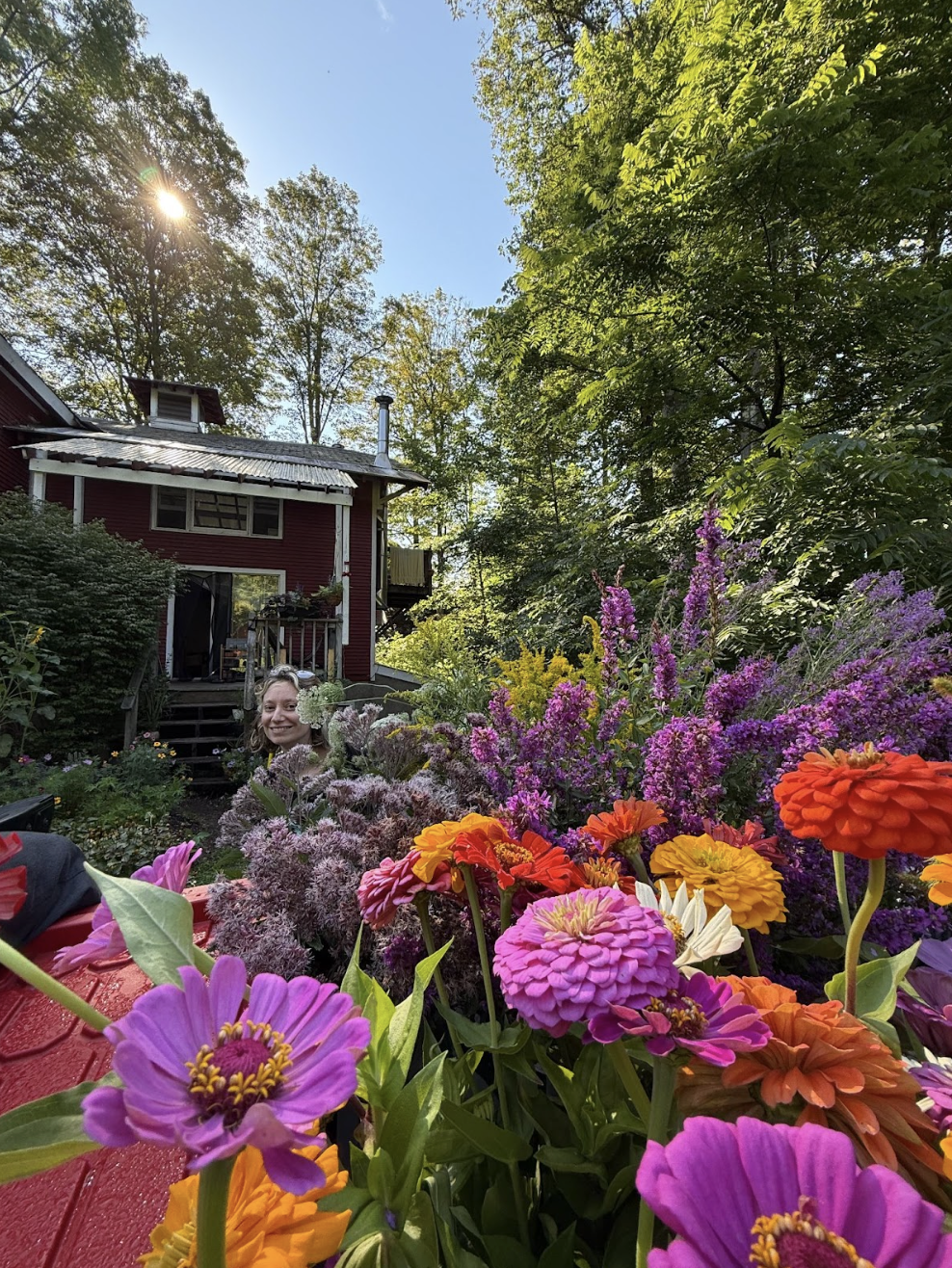 A sunny garden scene featuring a variety of colorful flowers in the foreground, including pink, orange, and purple blooms. In the background, a red house can be seen among lush greenery, with a person partially visible behind the flowers.