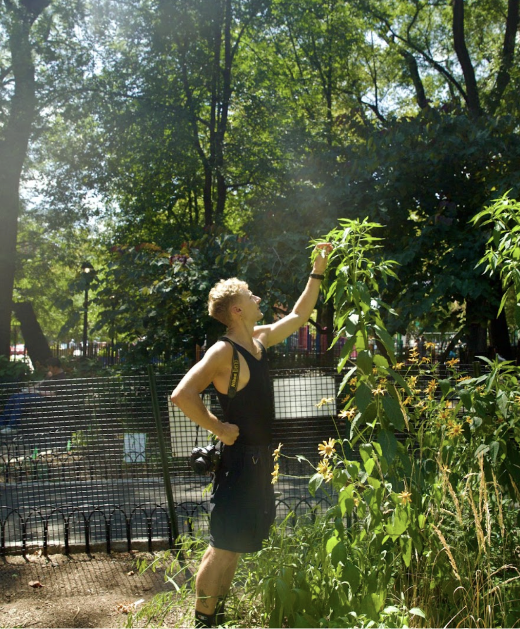 A person wearing a sleeveless black shirt and shorts reaches up to touch a green plant in a park. Sunlight filters through the trees, casting dappled light on the ground. A fence and some flowers are visible in the background.