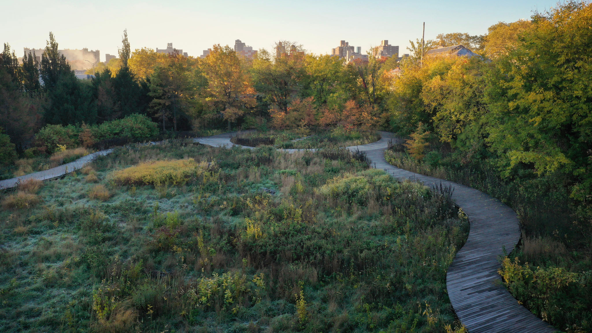 A garden showing winding pathways and fall folliage